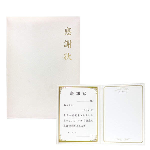 【色紙 寄せ書き】感謝状色紙 メッセージ 学校 卒業 転校 部活動 引退 生徒 先生 小学校 小学生 中学校 中学生 高校 高校生 大学 大学生 お祝い 思い出...