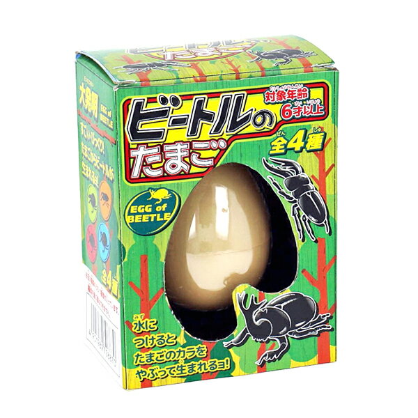 卵 割る おもちゃ築を喜ばれるより 十年後に感謝される大工