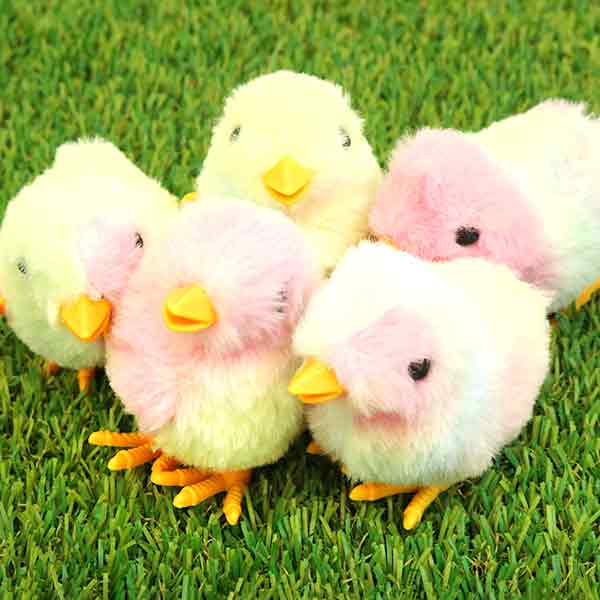 【12個セット】【ゼンマイ 動く】まわしてぴょこぴょこひよこちゃん おもちゃ 女の子 男の子 小学生 子..