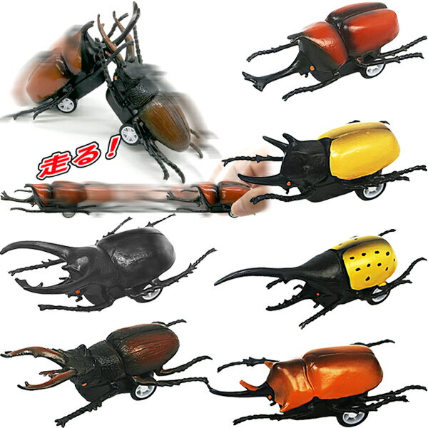 【24個セット】【カブトムシ 走る】昆虫大全プルバックカー プルバック プルバックカー 車 クルマ かっこいい おもちゃ 景品 玩具 幼稚園 保育園 小学生 祭り 夏祭り 夏休み 子供 子ども キッズ プレゼント 参加賞 おまけ 屋台 出店