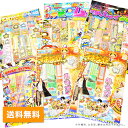 【花火 手持ち】【送料無料】【子供会】【イベント企画】手持ち...