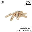 【P15倍:ワンダフルデー】 レデッカー 753845 洗濯バサミ小 4.5cm 100個セット REDECKER | Redecker redecker おし...