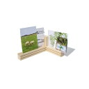 \本日店内P5倍♪/ サイドバイサイド 40124 Postcardholder Tri L 21 x D 15 x H 9 cm SIDEBYSIDE