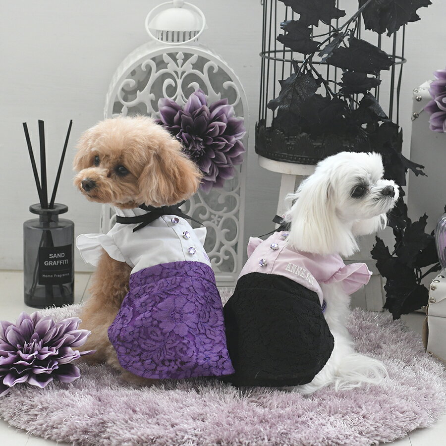 ANNA SUI リボンタイブラウスワンピース 春夏 犬服 トップス ブラウス ワンピース dog カルル calulu 22s SALE