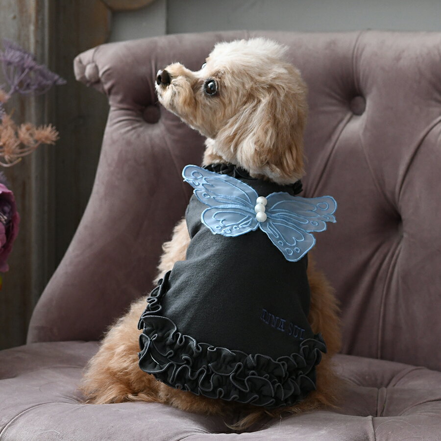 最終お値下げ　犬服　LUNA   BLUE  ワンピ２着セット　サイズL ワンちゃんのセレクトショップ【SweetCandy】