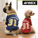 AVIREX メッシュフットボールTEE 23s Tシャツ 犬服 アヴィレックス アビレックス SALE