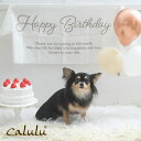 Calulu カルル アニバーサリータペストリー ペット用品 犬 誕生日 グッズ 帽子 スタイ 誕生日 衣装 犬用スタイ ハット バースデー ペット用 おもちゃ...