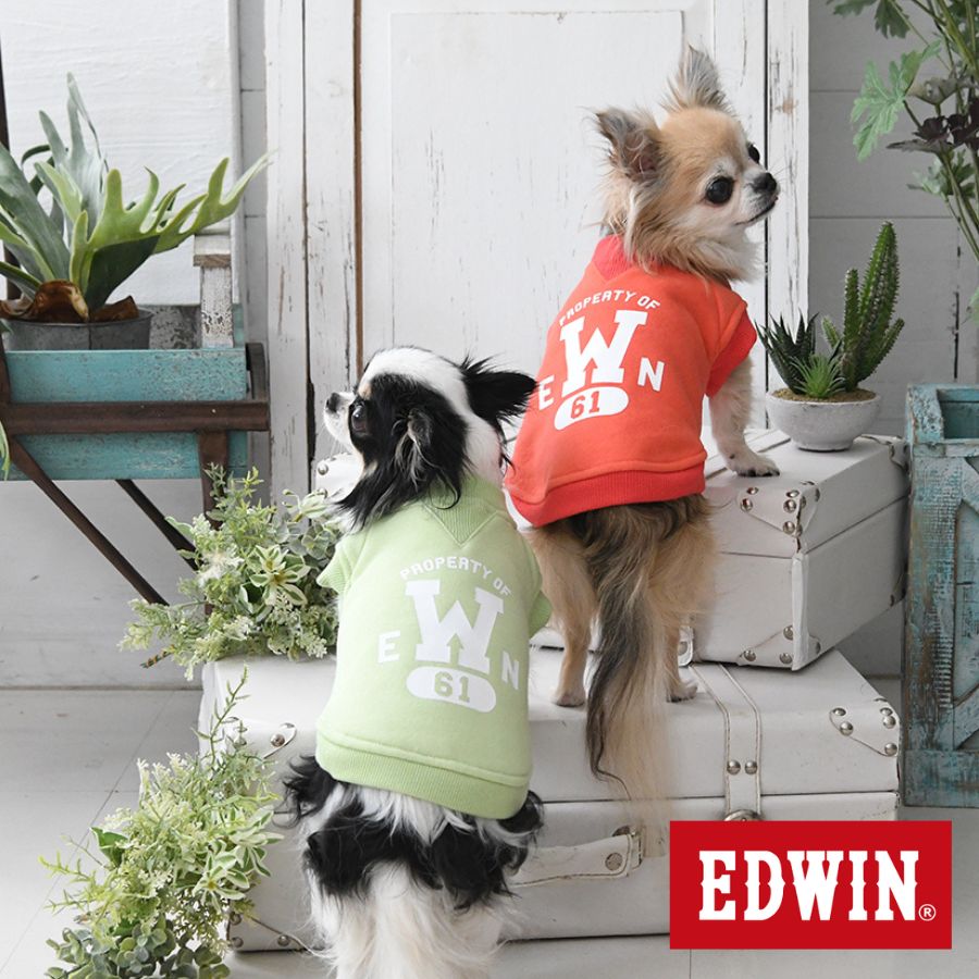 EDWIN エドウイン 61スウェット 犬服 