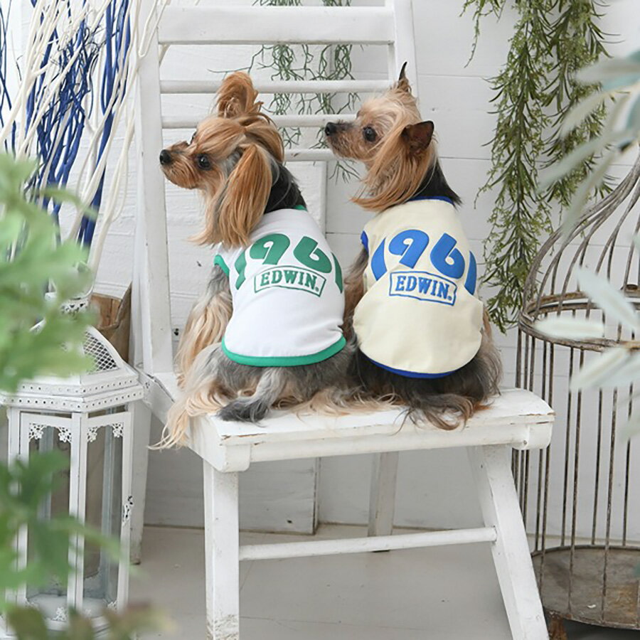 EDWIN 1961タンクトップ | 犬服 トップス シャツ クール加工 虫除け エドウイン エドウィン 22s