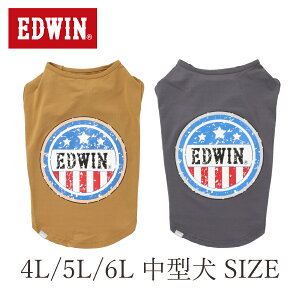 淿 EDWIN ꥫӥơå奿 | 23s 󥯥ȥå  ɥ ɥ SALE