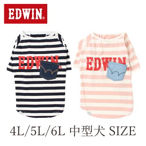 淿 EDWIN ǥ˥ݥåȥܡT | 23s  ɥ ɥ SALE