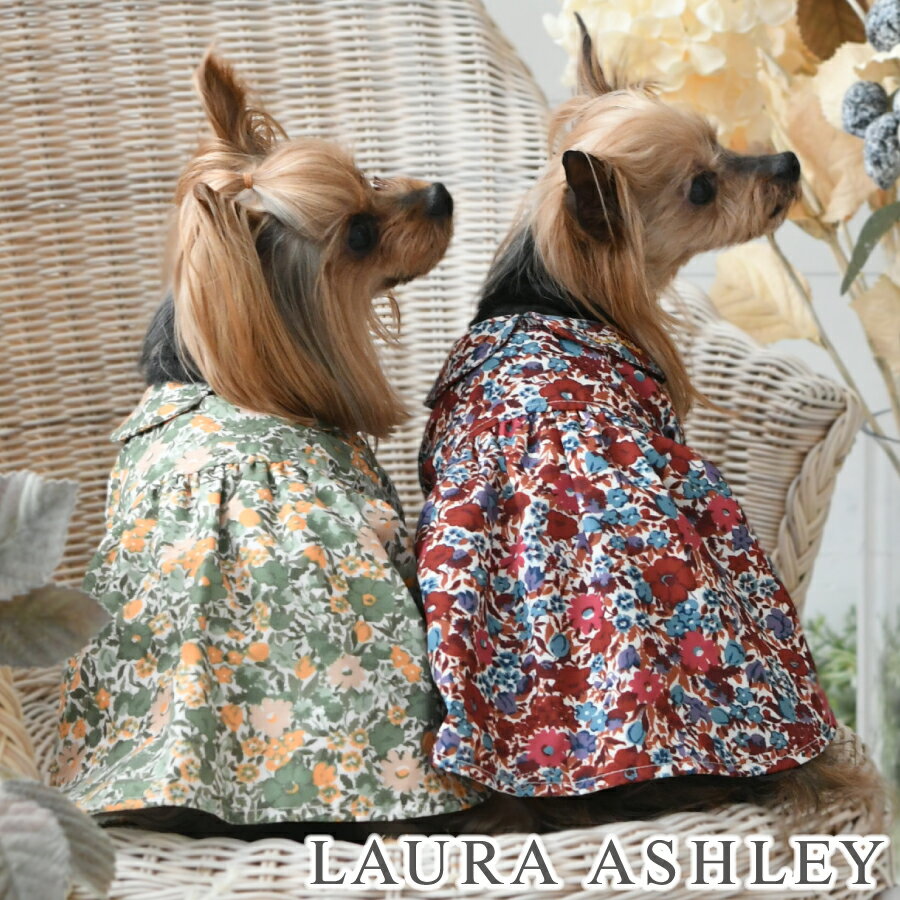 LAURA ASHLEY ローラアシュレイ 襟付きワンピース | 犬服 ワンピ 袖あり 丸襟 22a SALE