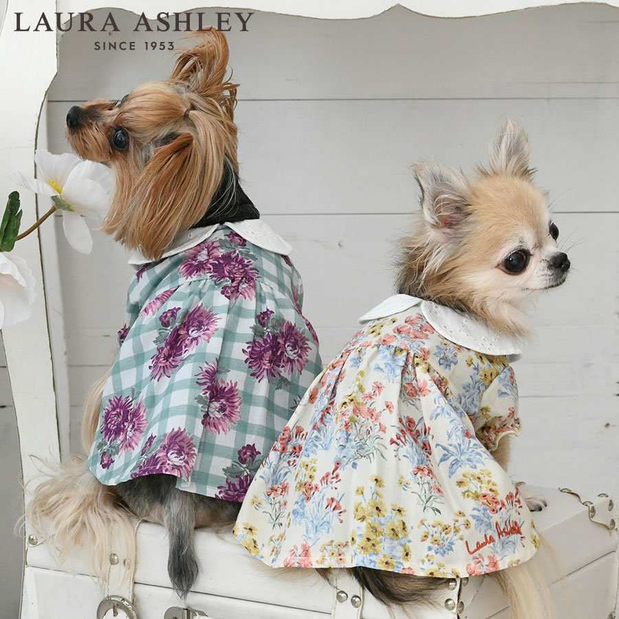 楽天雑貨ネットオンライン　楽天市場店LAURA ASHLEY ローラアシュレイ コットンレース襟ワンピース | ワンピース 犬服 ドッグウェア 2024 新作 24s