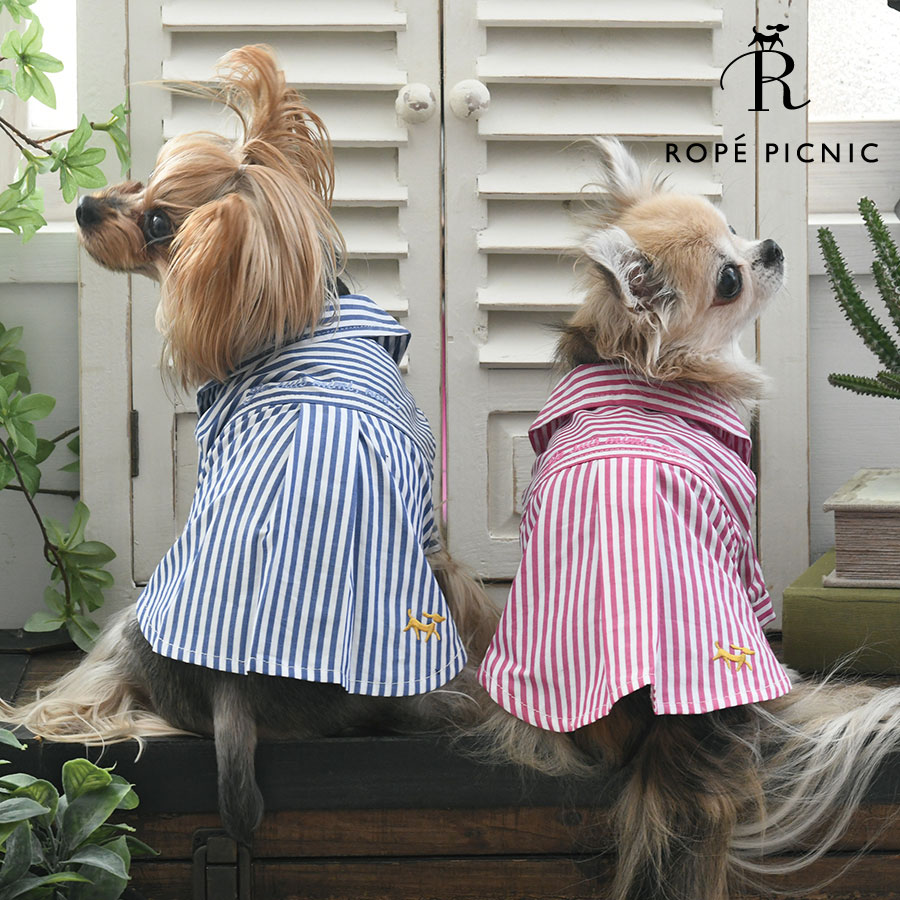 ROPE' PICNIC ロペピクニック ロペピク ストライプシャツ | シャツカットソー 犬服 ドッグウェア 2024 新作 24s
