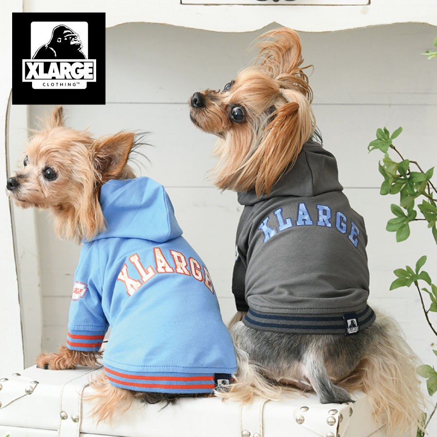 XLARGE エクストララージ ペイズリーロゴフーディー パーカー 犬服 ドッグウェア 2024 新作 24s