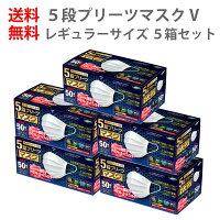 【5箱セット】送料無料 あす楽 5段プリーツマスク V レギュラー サイズ 50枚入り | 花粉 乾燥 日焼け 防止 アレルギー 対策 予防 使い捨て 立体 大人 快適 就寝 睡眠 業務用 大きめ 立体マスク 息 大きい