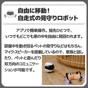 ペットカメラ22 見守りカメラで実家の愛犬に会いたい のおすすめプレゼントランキング 予算30 000円以内 Ocruyo オクルヨ ペットカメラ22 見守りカメラで実家の愛犬に会いたい のおすすめプレゼントランキング 予算30 000円以内 Ocruyo オクルヨ