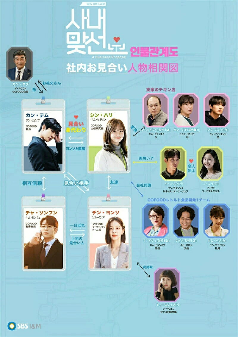 韓国ドラマ dvd 安い 日本語字幕「社内お見合い」韓国ドラマ 全話セット アン・ヒ...