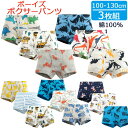 【送料無料】 ボーイズ ボクサーパンツ 3枚セット 100cm 110cm 120cm 130cm 綿100％ 下着 パンツ 肌着 男の子 男児 子供 キッズ ジュニア お着替え おしゃれ 素敵 かわいい 上品 アンダーウェア インナー インナーウェア ボクサーブリーフ 恐竜 車 上質 キャラクター