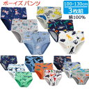 【送料無料】 ボーイズ パンツ 3枚セット 100cm 110cm 120cm 130cm 綿100％ 下着 ブリーフ 肌着 男の子 男児 子供 キッズ ジュニア お着替え おしゃれ 素敵 かわいい 上品 アンダーウェア インナー インナーウェア 恐竜 車 ロケット 上質 キャラクター