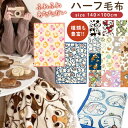 ミッフィー ブランケット 【送料無料】 キャラクター ハーフ毛布 140×100cm 大判 ブランケット 毛布 ひざかけ ハーフケット かわいい 秋 冬 防寒 ジュニア毛布 寝具 子供毛布 お昼寝 保育園 幼稚園 お昼寝マット すみっコぐらし サンリオ ミッフィー トムとジェリー ドラえもん ミッフィー 北欧