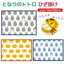 【送料無料】 となりのトトロ ひざ掛け 70×100cm ブランケット スタジオジブリ ひざかけ かわいい あったか ふわふわ 毛布 冬 防寒 冷え防止 寒さ対策 お昼寝 大トトロ 中トトロ ネコバス キャラクター トトロ雑貨 ジブリグッズ 厚手 キャラクターグッズ ジブリ雑貨