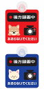 セーフティーサイン アニマル柄 6種 後方録画中 あおらないでください イヌ ネコ 白くま パンダ コアラ ライオン REC カメラ 吸盤付き ドライブレコーダ...