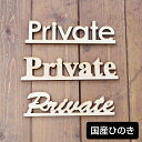ナチュラル雑貨 国産ヒノキ使用 Private 木製 メール便対応可能 ウッデンアルファベット 切り文字 Natural インテリア雑貨 高さ45mm 厚さ9mm(3)