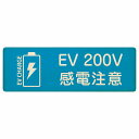 EV車 充電 充電ステーション プレート 木製 バッテリー EV 200V ライトブルー 長方形 18x6cm 安全対策 注意喚起 感電注意 サインプレート チャージ 電気自動車 充電ポート 充電スタンド 充電ステーション ピクトサイン 表示 案内 場所 看板