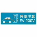 EV車 充電 充電ステーション プレート 木製 車＆バッテリー EV 200V ライトブルー 長方形 12x4cm 安全対策 注意喚起 感電注意 サインプレート チャージ 電気自動車 充電ポート 充電スタンド 充電ステーション ピクトサイン 表示 案内 場所 看板