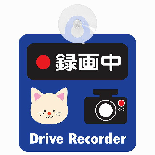 Z[teBTC Aj} ˂ ^撆 Drive Recorder hCuR[_[ ^ ԓp  zՃ^Cv ^]΍ ΍Жh~^Cv