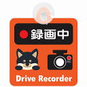 セーフティサイン 犬 黒柴 録画中 Drive Recorder オレンジ 吸盤タイプ あおり運転 対策 自動車 収れん火災防止タイプ