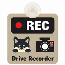 セーフティサイン 犬 黒柴 REC Drive Recorder グレーベージュ 吸盤タイプ あおり運転 対策 自動車 収れん火災防止タイプ