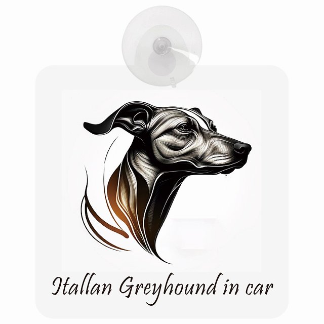 Itallan Greyhound ꥢ󥰥졼ϥ B  륬饹 ץ DOG IN CAR