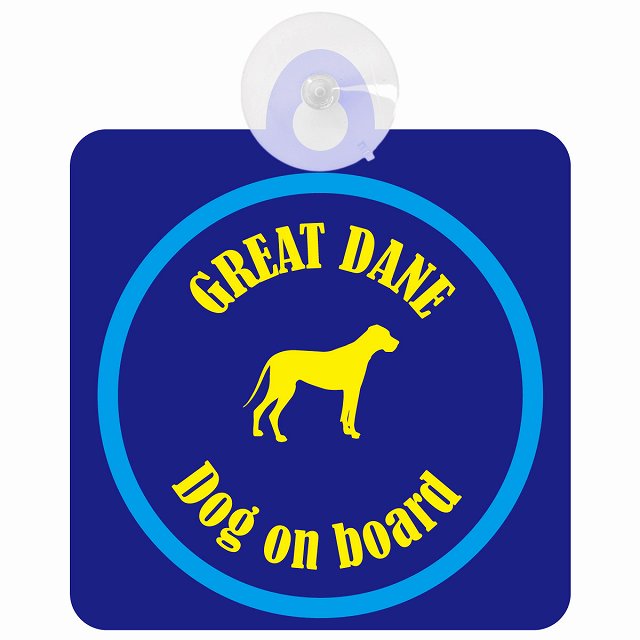 Great Dane 졼ȥǡ ͥӡ֥롼 եƥ ץ