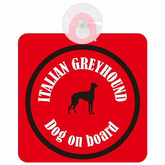 Itallan Greyhound ꥢ󥰥졼ϥ åɡ֥å եƥ ץ