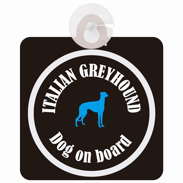 Itallan Greyhound ꥢ󥰥졼ϥ ֥åۥ磻 եƥ ץ