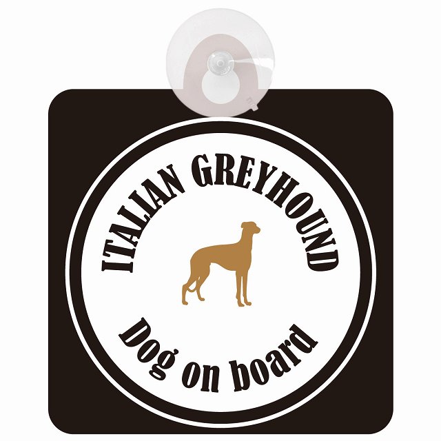 Itallan Greyhound ꥢ󥰥졼ϥ ۥ磻ȡ֥å եƥ ץ