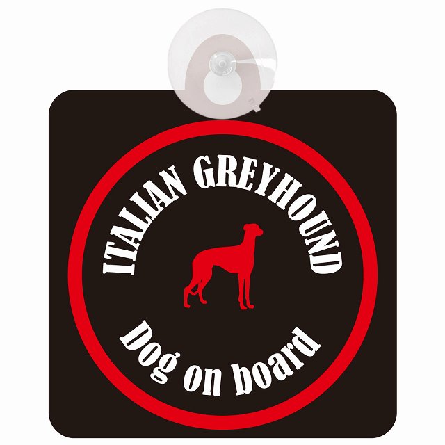 Itallan Greyhound ꥢ󥰥졼ϥ ֥åå եƥ ץ