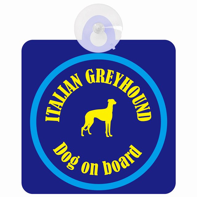 Itallan Greyhound ꥢ󥰥졼ϥ ͥӡ֥롼 եƥ ץ