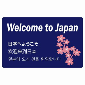 日本へようこそ ブルー インバウンド 観光客用 英語 中国語 韓国語 多言語対応 注意書き 120x75mm 案内 施設 ピクトサイン ステッカー シール カッティングシート 観光 商用施設