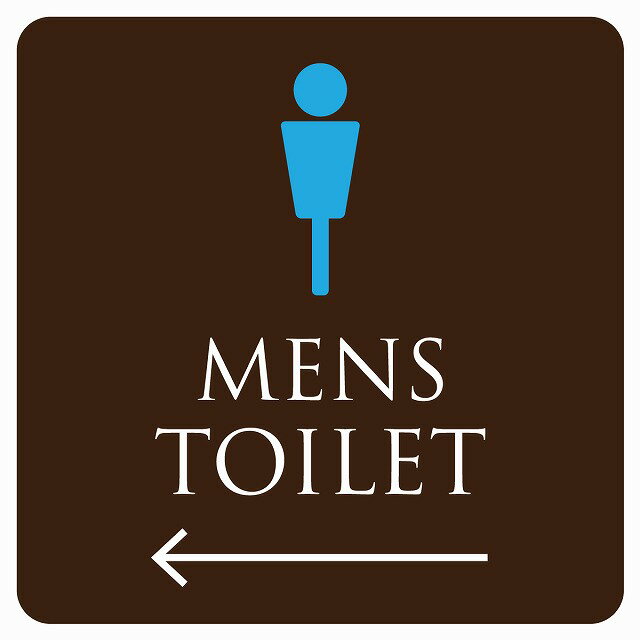 9x9cm トイレ 御手洗 TOILET トイレマーク ブラウン＆カラー MENS 左 ピクトサイン ステッカー シール カッティングシート 塩ビ製 サイ..