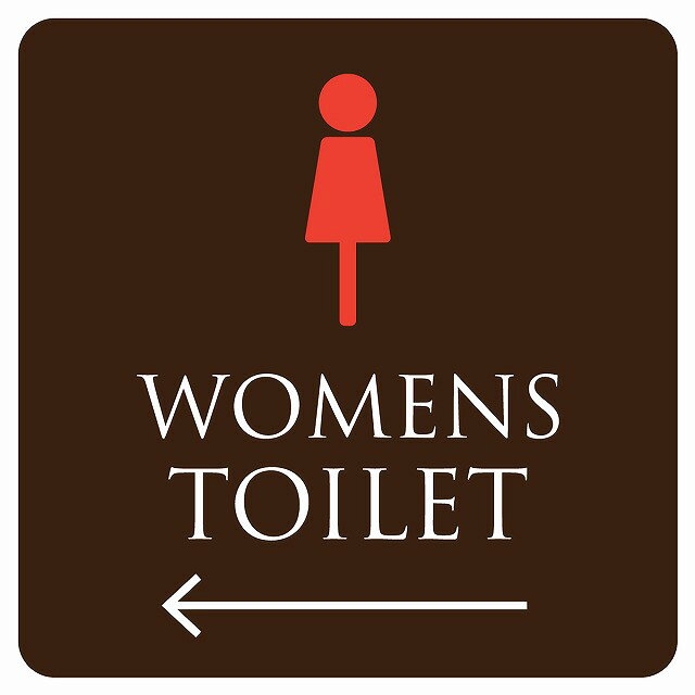 14x14cm トイレ 御手洗 TOILET トイレマーク ブラウン＆カラー WOMENS 左 ピクトサイン ステッカー シール カッティングシート 塩ビ製 サイン ウォールステッカー インテリア 施設 案内