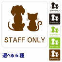 動物イラスト付 STAFF ONLY ホワイト ブラック グリーン ブラウン 27x27cm 正方形 サインステッカー シール