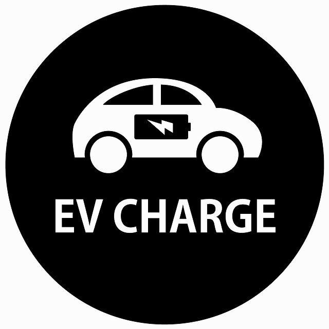 EV Charge Ԃƃobe[ fUC ^Cv ubNzCg dC [d `[W [d|[g [dXe[V XebJ[ a13cm J[XebJ[ PHEV