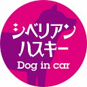 Dog in car ドッグインカー ステッカー カーステッカー シベリアンハスキー レトロ書体 ピンクパープル カッティングシート シール 煽り運転対策