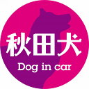 Dog in car ドッグインカー ステッカー カーステッカー 秋田犬 レトロ書体 ピンクパープル カッティングシート シール 煽り運転対策