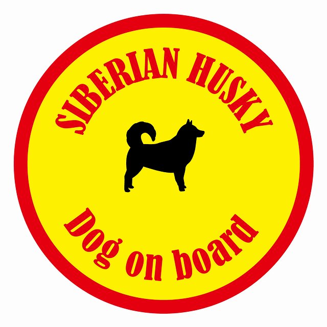 եƥ ƥå ե Dog on board ݷ ٥ꥢϥ  ľ13cm 걿ž к ...