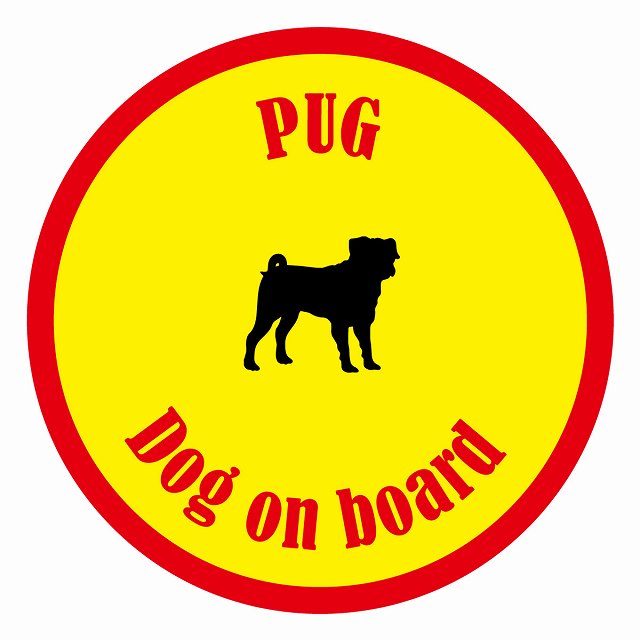 եƥ ƥå ե Dog on board ݷ ѥ  ľ13cm 걿ž к ƥå ...