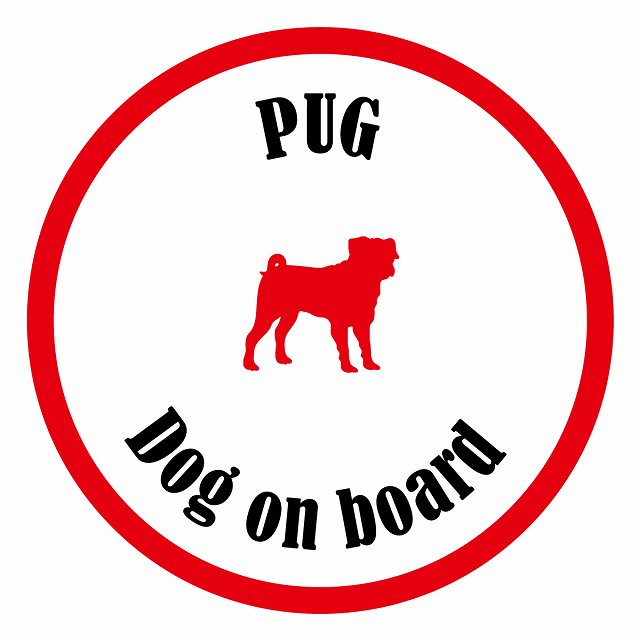 եƥ ƥå ե Dog on board ݷ ѥ ۥ磻ȥå ľ13cm 걿ž к ƥå...